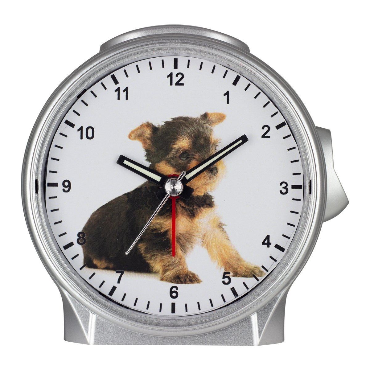 Kwarts kinderwekker, Yorkshire terriër pup, zilver