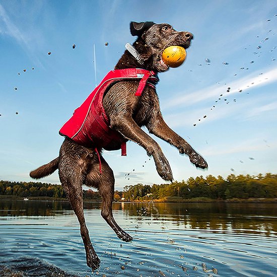 Hondenzwemvest voor Veilig Zwemmen en Varen - Reddingsvest met Handvat en Reflecterende Accent