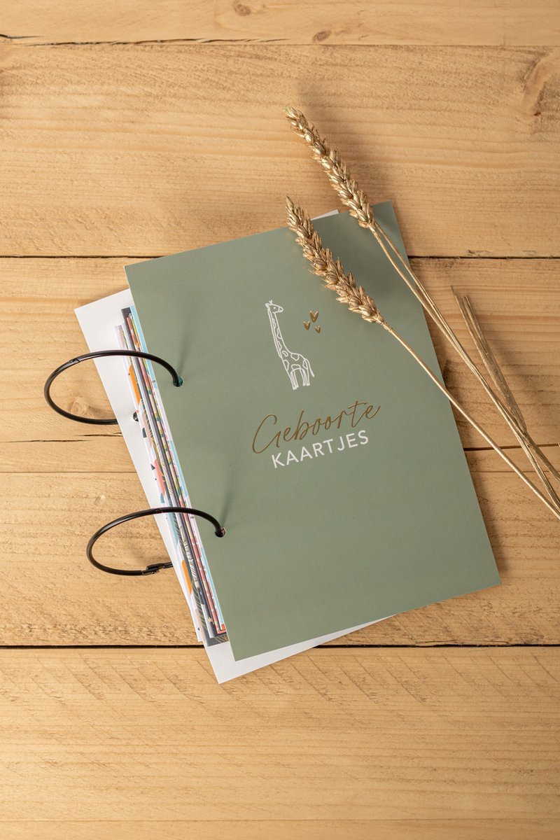 Great Memories by Goodz4All Bewaarbundel Wenskaarten – Verzamelbundel Kaarten Geboorte Bewaren – Groen met Goud