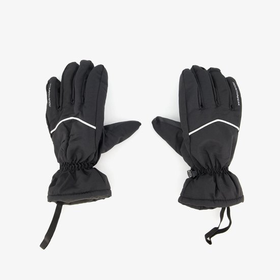 Sinner skihandschoenen Everest grijs