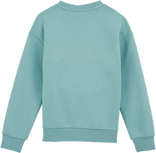 WE Fashion Jongens regular fit sweater