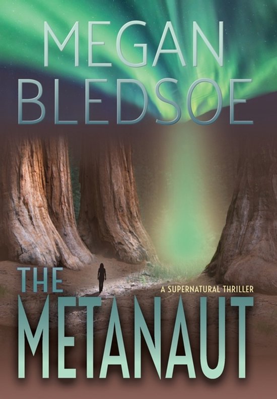 The Metanaut - cover