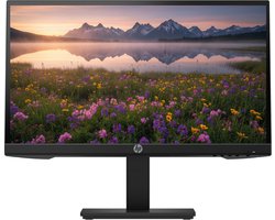 HP P22H G4 Monitor - 21.5 inch - 1920x1080 - Full HD - VGA - HDMI - DisplayPort