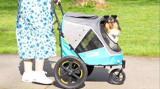InnoPet Sporty Evolution - Inklapbare Hondenbuggy & Hondenfietskar - Maximaal draaggewicht 30kg - Grote stevige luchtbanden - Kleur: Latte