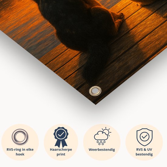 Hond en kat avondzon – buiten decoratie – Tuinposter – 60x90 cm
