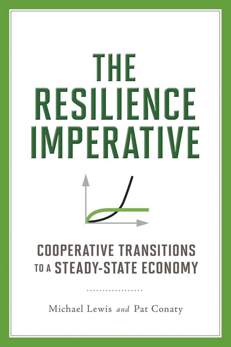 Omslag van The Resilience Imperative