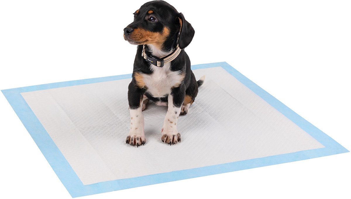 lionto puppy trainingspads, 6-laags & absorberend, 50 stuks, 60x60 cm