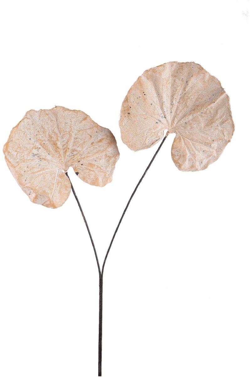 PTMD Kunstblad Leaves - Beige - 62x57x90cm