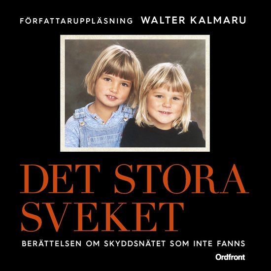 Det stora sveket: Berättelsen om skyddsnätet som inte fann ... - cover