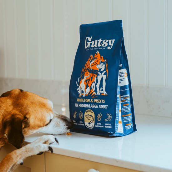 Een hond eet Gutsy witvis & insecten hondenvoer van een blauwe zak.