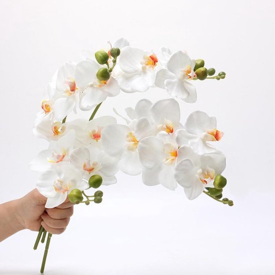 CM-RT015 Phalaenopsis 9 Kopf Real Touch Orchidee Künstliche Blumen Weiche Phalae