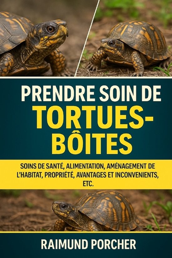 Prendre Soin Des Tortues-Boîtes - cover