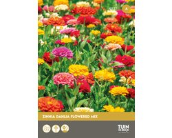 Tuin de Bruijn Zinnia Dahlia Flowered Mix – 100 Zaden – Snijbloem