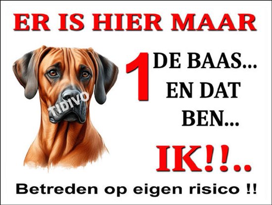 Weimaraner Rhodesian Ridgeback 26 | bol