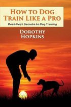 How to Dog Train Like a Pro