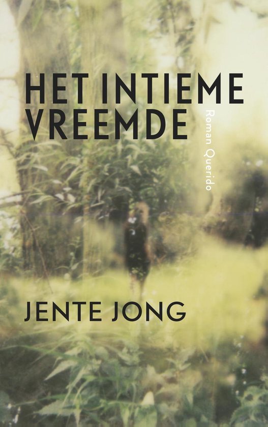 Het intieme vreemde - Jente Jong | Northernlights300.org