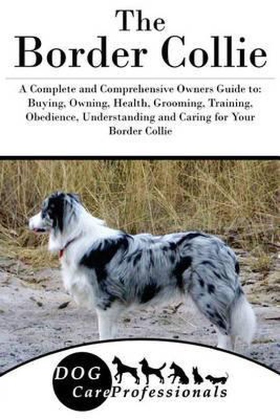 The Border Collie