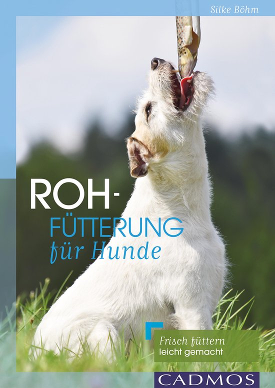 Boek cover Rohfütterung für Hunde van Silke Böhm (Onbekend)