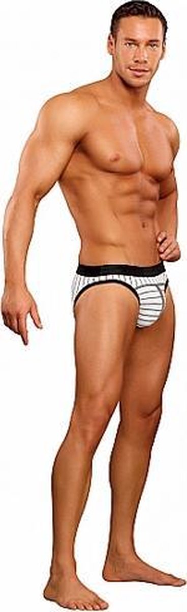 Male Power Sekstuigje Low Rise Panel Bikini Small