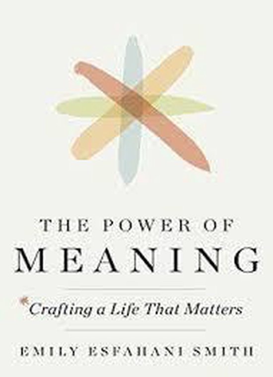 Boekcover met de titel 'The Power of Meaning' en subtitel 'Crafting a Life That Matters'.