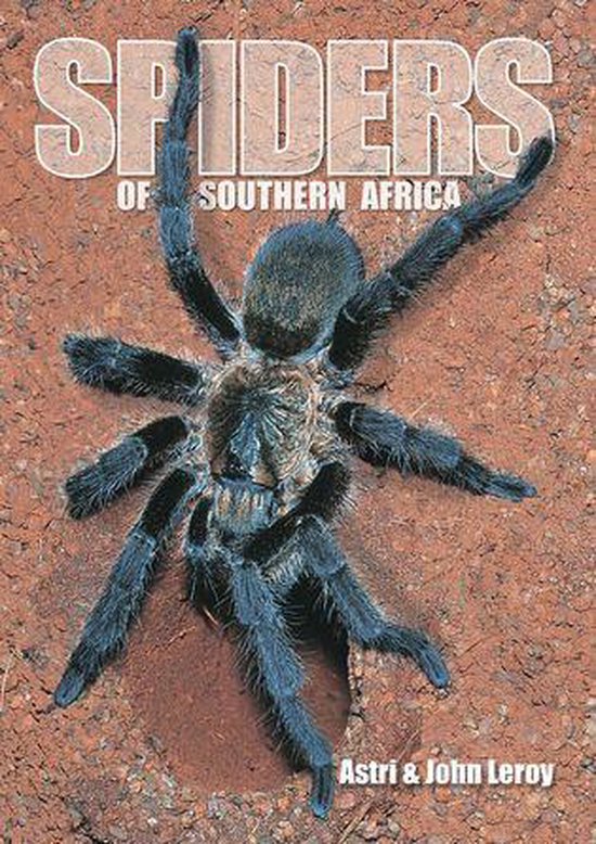 Spiders of Southern Africa - cover