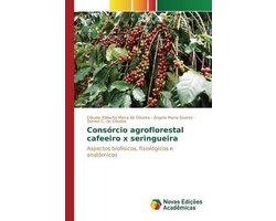 Consórcio agroflorestal cafeeiro x seringueira