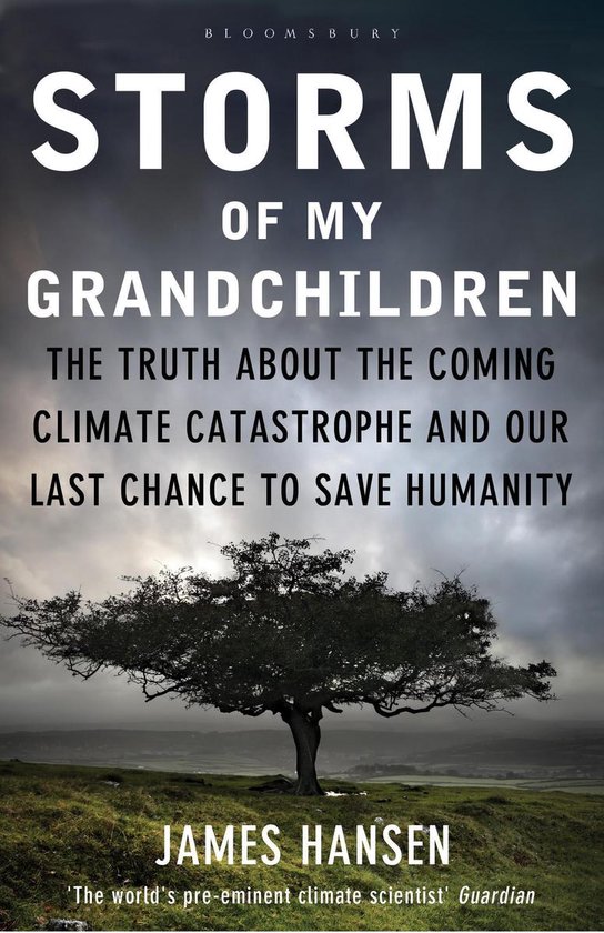 Storms of My Grandchildren - cover
