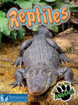 Eye to Eye with Animals - Reptiles