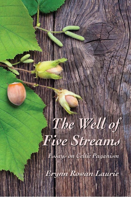 The Well of Five Streams Essays on Celtic Paganism - cover