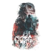 V/A - The Owls Are Not What They Seem (CD)
