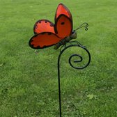 Vlinder oranje op krulpin