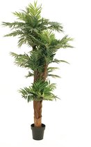 EUROPALMS Areca palm - Kunstplant - 170cm