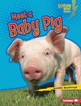 Lightning Bolt Books ® — Baby Farm Animals - Meet a Baby Pig