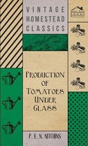 Production Of Tomatoes Under Glass