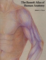 The Bassett Atlas of Human Anatomy