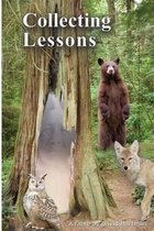Collecting Lessons