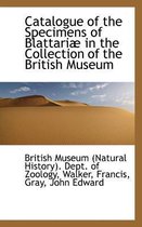 Catalogue of the Specimens of Blattari in the Collection of the British Museum