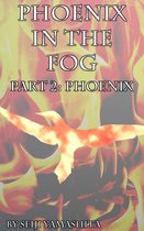 Phoenix in the Fog part II: Phoenix