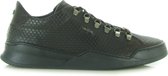 Hinson ALLIN DRAGON LOW BS Bruin - 45