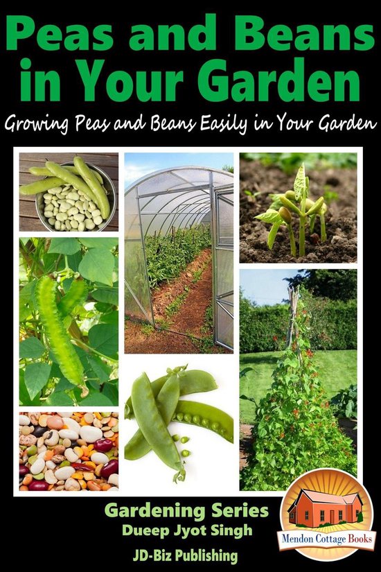 Peas and Beans in Your Garden Growing Peas and Beans Easily in Your