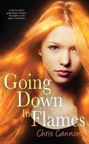 Going Down in Flames (a Going Down in Flames Novel)
