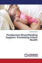 Postpartum Breastfeeding Support