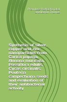 Synthesis of Silver, Copper and Zinc Nanoparticles from Carica Papaya, Annona Muricata, Passiflora Edulis, Cycas Circinalis, Pouteria Campechiana Seeds and Evaluation of Their Antibacterial A