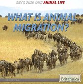 Let's Find Out! Animals - What Is Animal Migration?