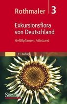 Exkursionsflora Von Deutschland: Gefaapflanzen