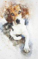 2019-2020 Academic Planner Weekly and Monthly Pleasant Dog