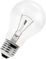 Gloeilamp Laagvolt E27 24V 25W Helder