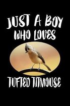 Just A Boy Who Loves Tufted Titmouse