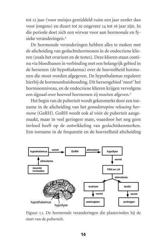 Het Sociale Brein Van De Puber