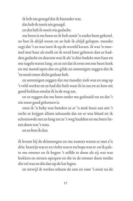 Een tekstpagina met Nederlandse tekst.